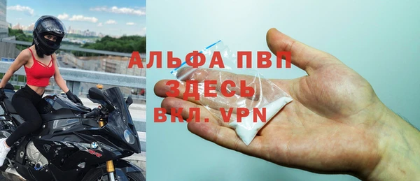 гидра Алзамай