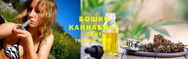 бошки Алексин