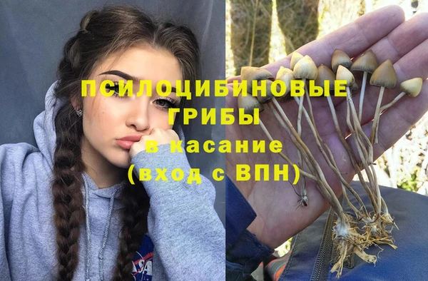 гидра Алзамай